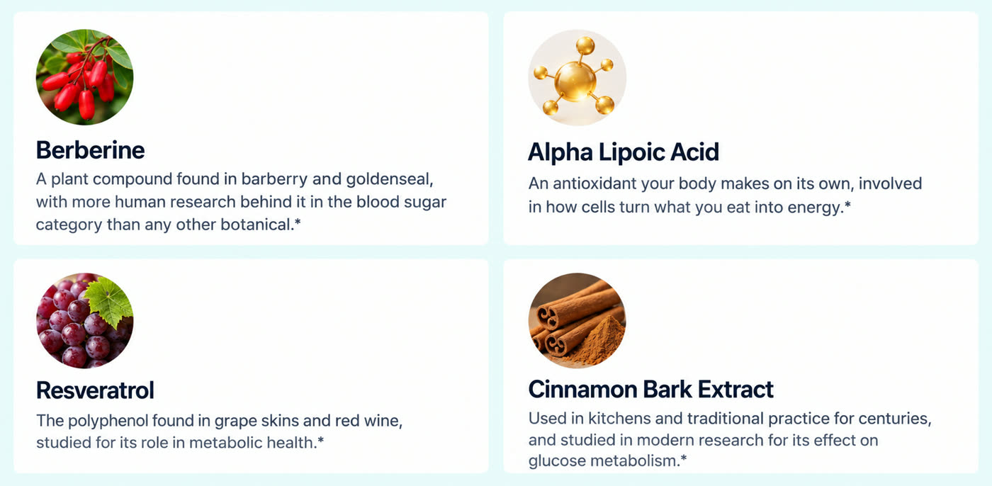 Berberine, alpha lipoic acid, resveratrol and cinnamon bark extract with photos of each ingredient